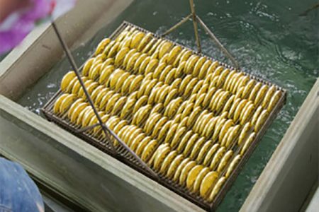 iga04 - glory pin maker